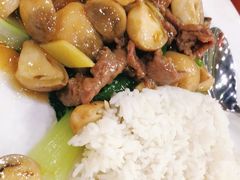 -福星牛奶甜品店(常平店)