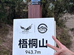 -梧桐山风景名胜区