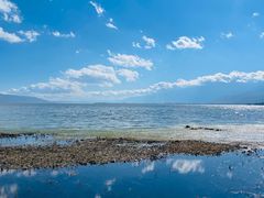 -洱海月湿地公园