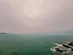 -杨梅坑