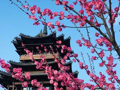 -杭州半山国家森林公园