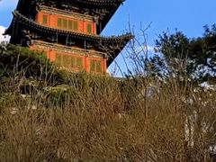 -迎泽公园