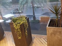 -我的四季意大利餐厅(春天百货店)