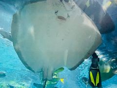 -福州罗源湾海洋世界旅游区