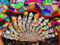 -沈阳奥体冰雪嘉年华