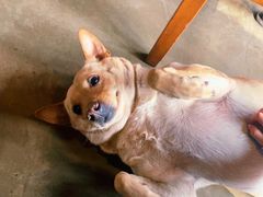 -Cactus墨西哥仙人掌餐厅