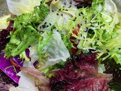 蔬菜色拉-品回味清真西北楼(宁波首店)