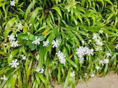 -贵阳市花溪国家城市湿地公园