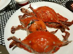 -长沙三景韦尔斯利酒店·Oval全日制餐厅自助餐