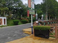 -广州白江湖森林公园