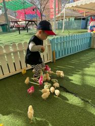 -萌宠亲子动物乐园(槐房万达店)