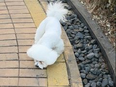 -宠福鑫康馨动物医院·骨科·眼科