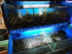 -星记小馆·小蓝龙·老南京砂锅菜(上海路店)