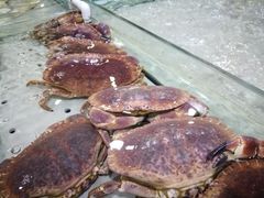 -渔傅·蓝海岸霞浦海鲜(正祥店)