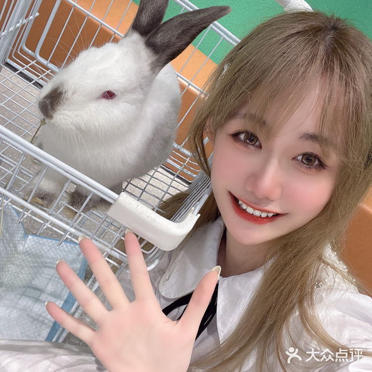 可以撸雪貂的店💘|遇见萌宠2.0