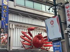 -蟹道乐(道顿堀本店)