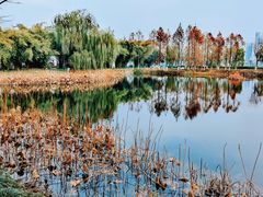 -金银湖国家城市湿地公园