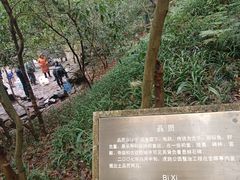 -虎跑公园