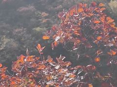 -水峪民俗村