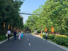 -屈原故里文化旅游区
