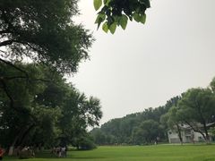 -御林古桑园