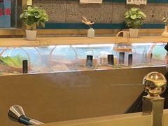 -一绪に寿喜烧(虹悦城店)