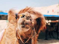 -库伦旗银沙湾旅游景区