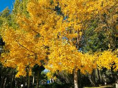 -亿利库布其七星湖沙漠生态旅游区