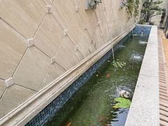 -虹御轩·传承江浙菜(虹桥店)