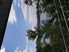 -望湖烤鱼
