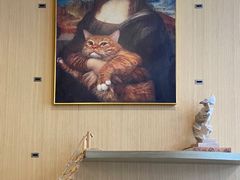 -飞行喵MR PILOT|猫舍·猫咖(静安大融城店)