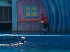 -华夏文旅海洋公园