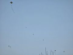 -莫子山公园