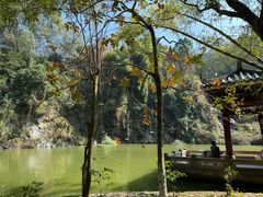 -水濂山森林公园