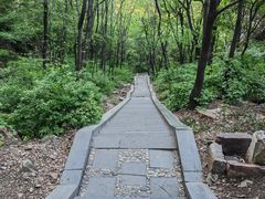 -洛阳白云山景区