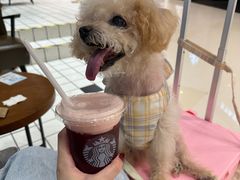 -星巴克臻选(上海长风大悦城店)