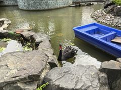 -梧桐人家中国太平国际健康颐养社区