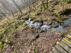 -五营红松林海景区