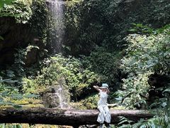 -莫里热带雨林景区