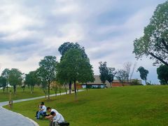 -盘龙城遗址博物院