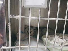 -达爱动物医院·犬猫分区·CT·复杂眼科(远洋山水分院)