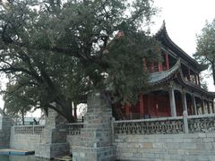 -百泉景区