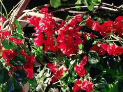 -湘邻呷铺·田园家宴(汉基广场店)