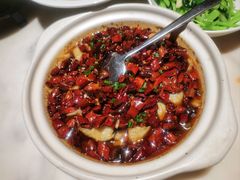 -唐猫庭院·千年陕菜(大唐不夜城店)