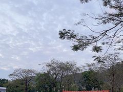 -火炉山森林公园