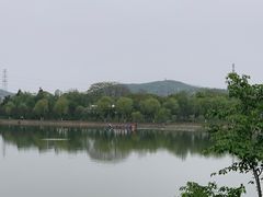 -羊山湖公园