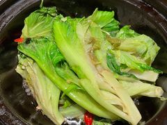 虾酱啫生菜煲-尚一汤·粤菜海鲜(环球港店)