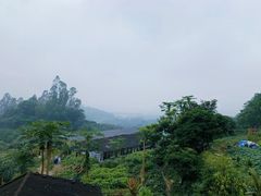 -天强农家菜馆
