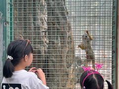 -泉州海丝野生动物世界