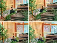 -云南野生动物园